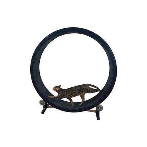 Cat sports wheel cat toy cat sports toy cat running wheel climbing frame cat climbing wheel cat treadmill