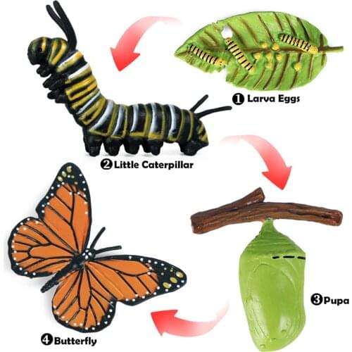 Nature Butterfly Life Cycle Stages Insect Growth Figures Playset Pre-school Early Education Learning Toys for Kids Toddlers