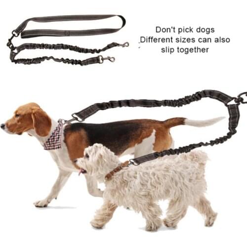 Pet Cat Dog Nylon Leashes Pet Walking Training Leash Cats Dogs Harness Collar Lead Strap Pet Outdoor Safe Walk Supplies