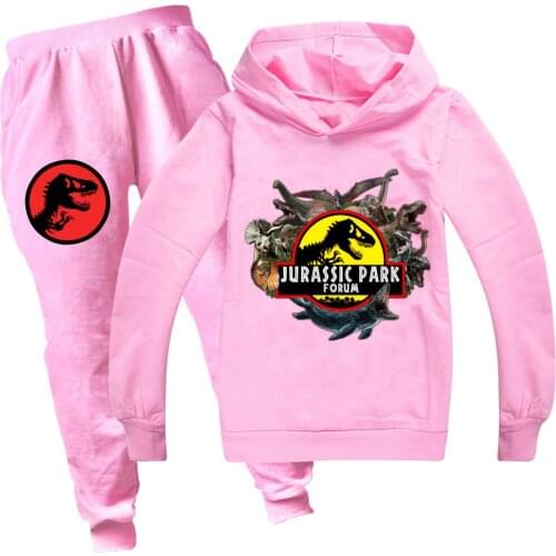 New Pink Dinosaur Hoodie Set Girl Sweatshirt Long-Sleeve Baby Girls Children Cartoon Spring Autumn Suit 2-16 Year kids Clothing
