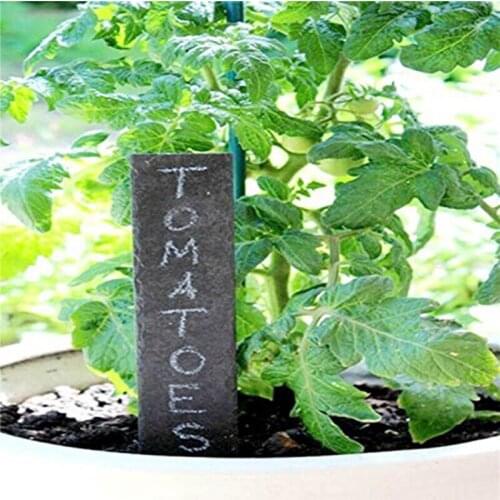 5 Pieces Slate Plant Labels - Set Of 5 Natural Slate Garden Markers for Herbs Pots and Garden - Reusable Slate Tags