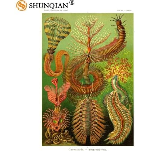 Custom ernst haeckel sea life Poster Home Decoration Fashion Silk Fabric Wall Poster Custom Poster Print More Size