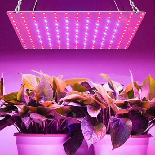 COB LED Grow Light Full Spectrum 1000W 1500W Ultra Thin Quantum Tech Board 2835 LED Growth Lighting Hydroponics Plant Lamp