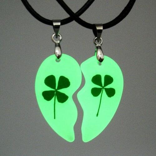 2 Pcs/Pair Heart Shape Pendant Necklace Natural Dried Flower Glow In The Dark Jewelry Gift Luminous Couple Necklaces