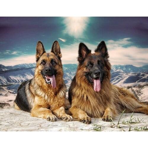 5D DIY Diamond Embroidery sale Animal German Shepherd Dog Pet Diamond Painting Cross-Stitch kits,3D,Diamond Mosaic,Wall stickers