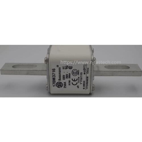 New original Power Fuse 170M3716 250A 690V square body fuse prices fuse in fuses