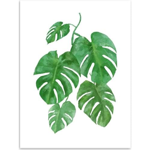 Watercolor Green Leaf Flowers Plant Cottage Canvas Large A4 Print Poster Nordic Wall Picture Home Decor Painting No Frame