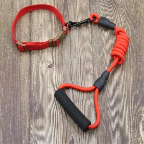 Dog Collars+Leash Puppy Cat Dog Tag Pet Small Medium Large Dogs 01