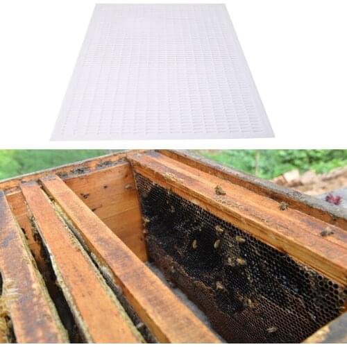 Pro Beekeeping Queen Bee Excluder Trapping Grid Net Equipment Apiculture Tools