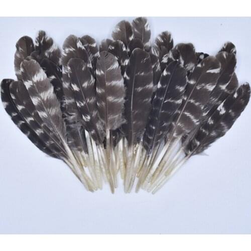 20Pcs Natural Feathers for Crafts Decoration Pheasant Feather Turkey Feathers Small Decor Jewelry Carnival Accessories Plume