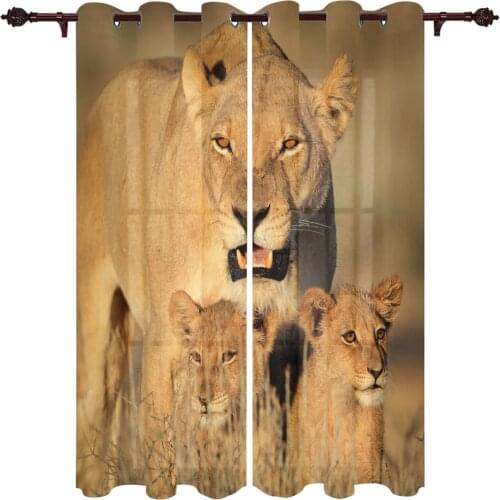Kitchen Window Curtains Africa Lion Animal World Adult Children Bedroom Decoration Living Room Hanging ClothTreatment Curtains