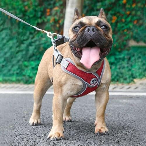 Breathable Reflective Dog Harness And Nylon Leash Set Pet Collar Leash For Small Medium Large Dog Chest Strap Set