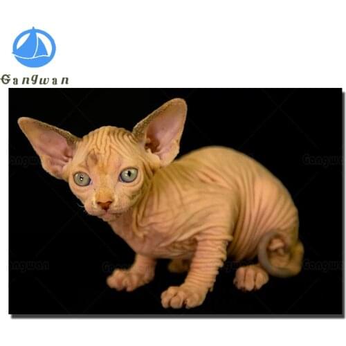 Home art Diamond Painting Sphynx cat DIY Diamond Embroidery full Square Round Diamond Mosaic rhinestone cute pet animal pattern