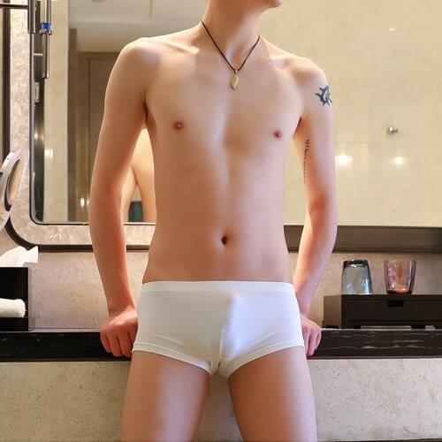 Ice silk boxer man panties sexy ultra-thin ultra-fine nylon silky shorts cueca masculina quick-drying tide underwear man
