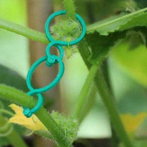 50/100 Pcs Plastic Plant Support Clips For Tomato Hanging Trellis Vine Connects Plants Greenhouse Vegetables Garden Ornament