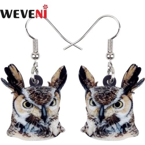 WEVENI Acrylic Fashion Eurasian Eagle Owl Bird Earrings New Long Dangle Drop Fashion Animal Jewelry For Women Girls Female Gift