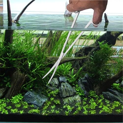 Aquarium Tank Scissor Set Stainless Steel Water Plant Shear Aquatic Plants Scissors Garden Grass Clipper Home Gardening Tools