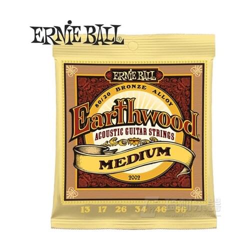 Ernie Ball Earthwood Acoustic Guitar Strings Bronze Alloy 80/20 2002 2003 2004