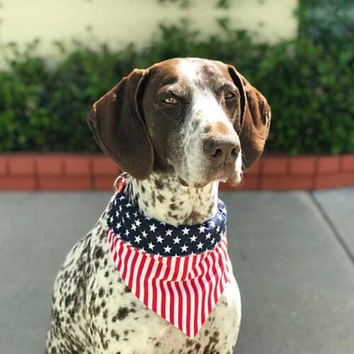 Square Neck Head Scarf For Medium Large Dogs And Cats American Flag Pet Dog Bandana Washable Reversible Home Dog Accessories