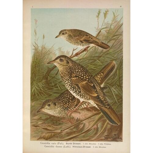 Pastoral animal birds reed grass scenery oil painting canvas prints printed on canvas wall art decoration picture