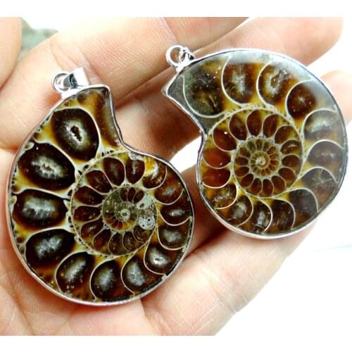 Natural iridescent Ammonite Fossils Specimen stone pendant Nautilu Pompiplius Ocean Fish Tank Stones Healing 1Pc