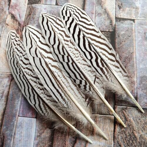 Wholesale Beautiful 500pcs 18-22cm/7-9inches Natural Pheasant Feathers Wedding/Dance recital/Party/Halloween/Home decoration