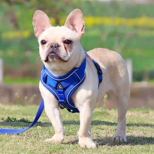 Adjustable Reflective Dog Harness Soft Breathable Escape-Proof Pet Harnesses Vest and Leash Pet Accessories for Small Medium Dog