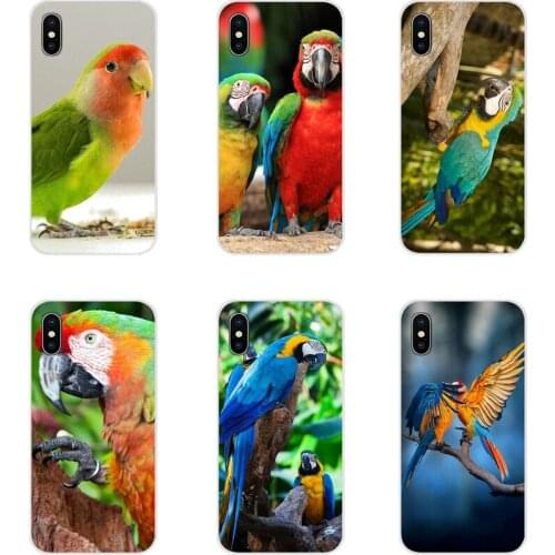 For Xiaomi Redmi 4A S2 Note 3 3S 4 4X 5 Plus 6 7 6A Pro Pocophone F1 Accessories Phone Cases Covers Animal Bird Parrot Colorful
