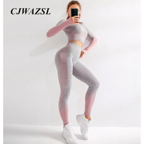 Ladies seamless yoga wear suit hip-lifting tight-fitting fitness suit autumn and winter long-sleeved running sports training