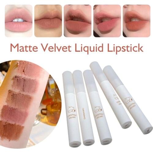 Retail New Arrival Matte Velvet Liquid Lipstick Long Lasting Lip Gloss Chestnut Lip Glaze Makeup Women Cosmetics For Birthday