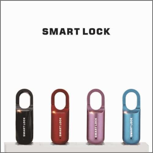 Smart Fingerprint Padlock USB rechargeable Cabinet lock Dormitory anti-theft lock mini fingerprint for travel suitcase