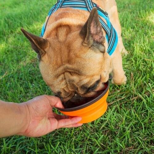 Recommend Pets Fold Bowl Portable Water Bowl Dog Dog Food Basin Tableware Articles Go Basin I Am One Only Small Method Bucket