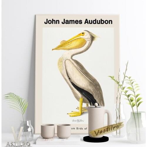 John James Audubon Exhibition Museum Canvas Painting Vintage American White Pelican Wall Art Print Poster Living Room Home Decor
