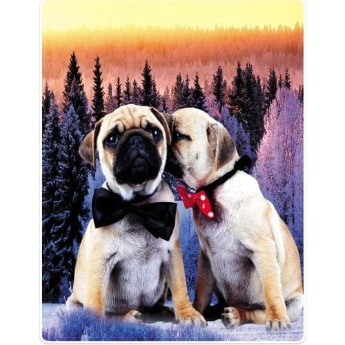 Cryfox Plush Blankets