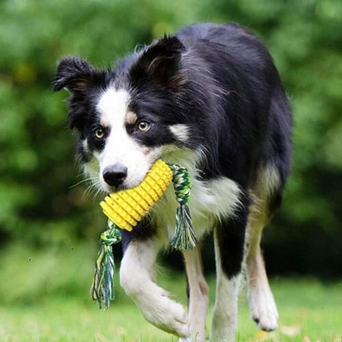 Rubber Dog Chew Toys Dog Toothbrush Teeth Cleaning Toy Dogs Pet Toothbrushes Brushing Stick Pet Dog Toy Supplies Goods for pets