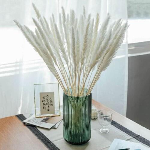 15pc Dried Deco Reed Dried Flowers Vases Bouquet Boho Decor Branches Valentines Day Flower Home Wedding Deco Photo Props