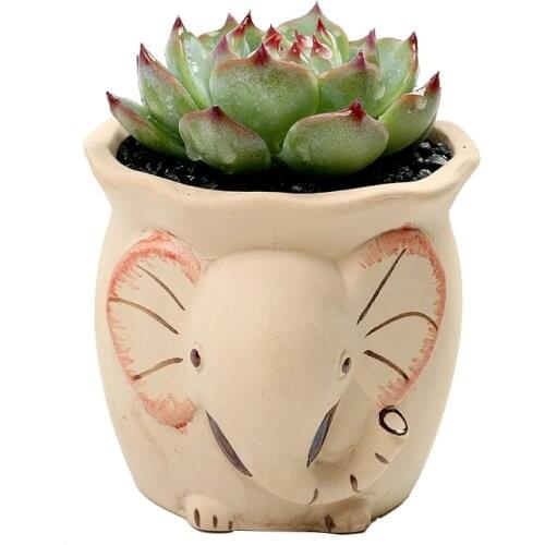 Creative Cartoon Rabbit Fox Eagle Fleshy Flowerpot Lovely Little Animal Meat Pot Ceramic Balcony Office Decorative Flowerpot