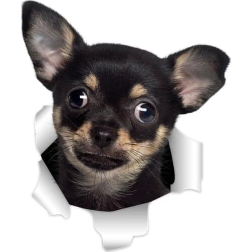 Three Ratels 3D Minlature Pinscher Dog Stickers Super Staffie decal on Wall Fridge Toilet car bike