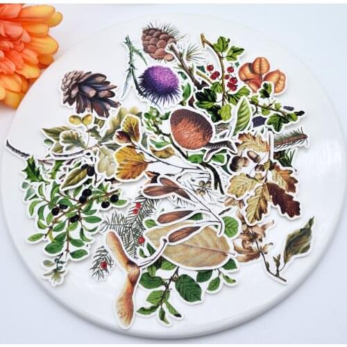 29pcs Hand Drawing Pine cone Plant stickers Creative cute self-made sticker scrapbooking/decorative stationary journal