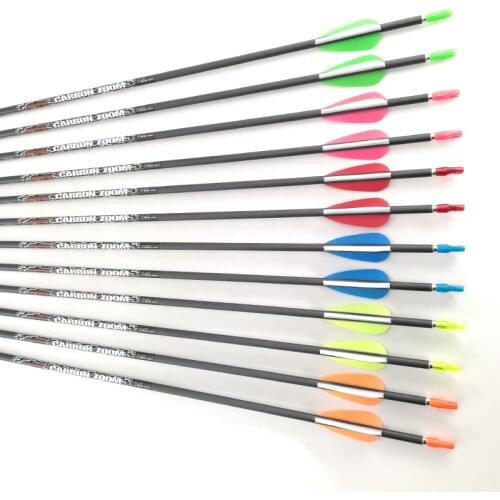 Spine 700 Archery Carbon Arrows for Compound Recurve Bow Hunting Targets Kids&Adults Arrow Vanes Points 12PCS