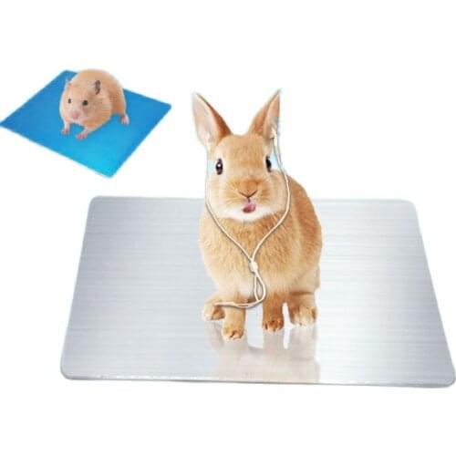 Small Pet Summer Cooling Aluminum Plate Rabbit Hamster Totoro Ice Pad Cooling Plate Summer Heat Dissipation Products