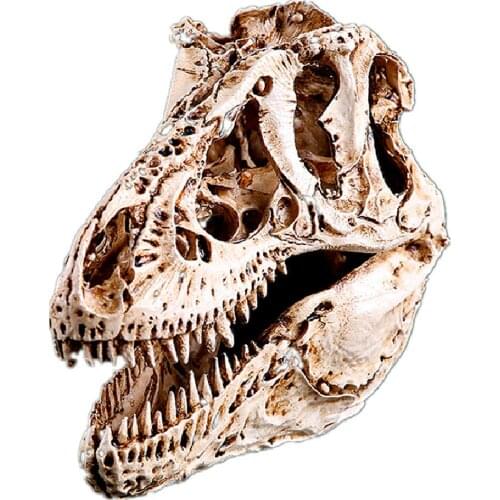 Resin Tyrannosaurus Rex dinosaur skeleton sketch practice classroom teaching accessories Animal skull model