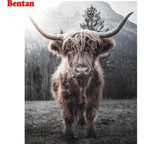 5D DIY Diamond Painting Rhinestone Diamond Mosaic Highland cattle animal landscape Diamond Embroidered Cross Stitch kit Decor