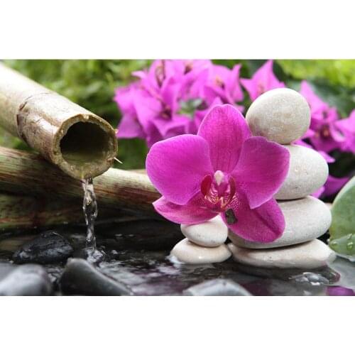 Diamond Painting Full Square Round Diamond Embroidery zen Orchid stone DIY Cross Stitch Display Landscape