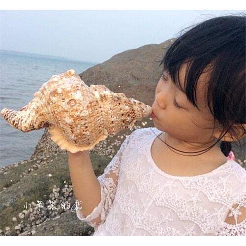 Large natural landscape Style decoration Jinkou Rana natural stone conch shells crafts Creative shell crafts style statue