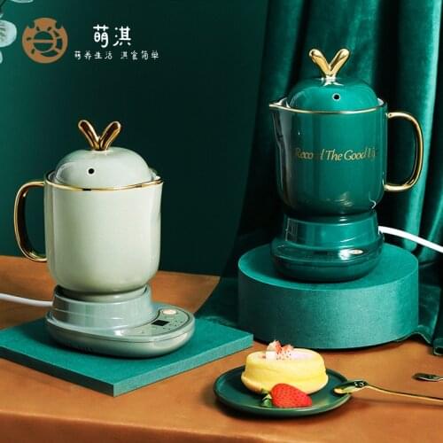 Multifunctional health pot flower tea cup electric heating cup glass pot office teapot health cup electric stewing cup 220V