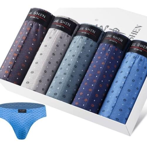 5 Pcs Breathable Cotton Mens Underwear New Briefs sexy underwear men gay Mens Bodysuit Male Comfortable Solid Underpants