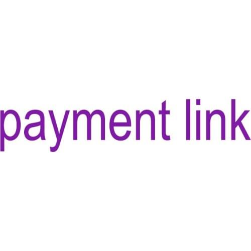 Dingye payment link