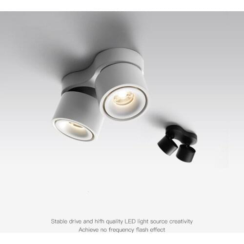 Dimmable Surface Mounted LED COB Downlight 20W/24W Rotating LED Spot Light Ceiling Lamp with LED Driver AC110V/220V