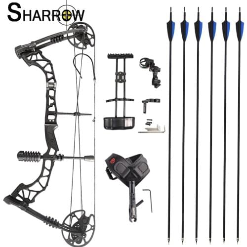35-70lbs Compound Bow And Arrow Set Magnesium Aluminum Alloy Handle Let Off 80% IBO 320FPS Archery Shooting Hunting Accessories